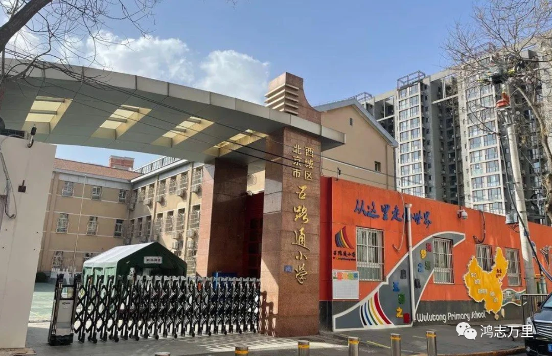 篮球训练法读后感怎么写_1