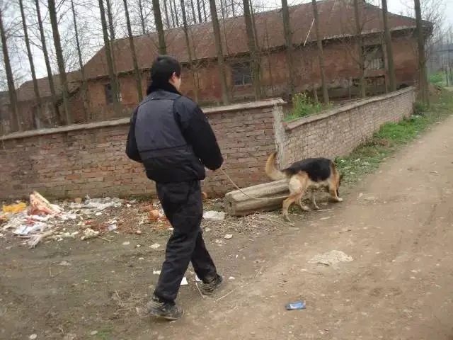 如何通过团队协作策略提升整体篮球水平_0